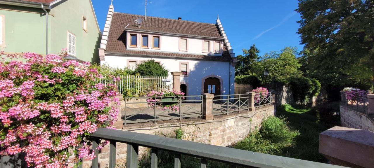 Le Cocon Du Rimbach Soultz-Haut-Rhin Exterior foto