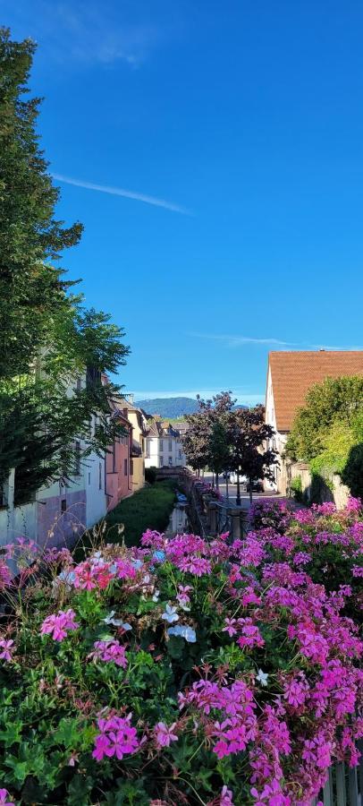 Le Cocon Du Rimbach Soultz-Haut-Rhin Exterior foto
