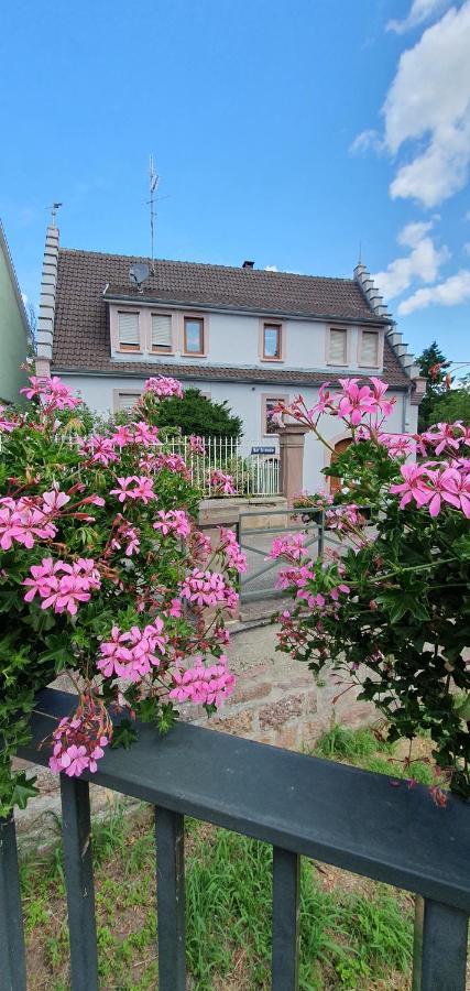 Le Cocon Du Rimbach Soultz-Haut-Rhin Exterior foto